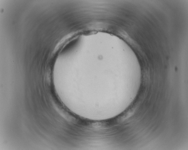 X0000064040064200602242331