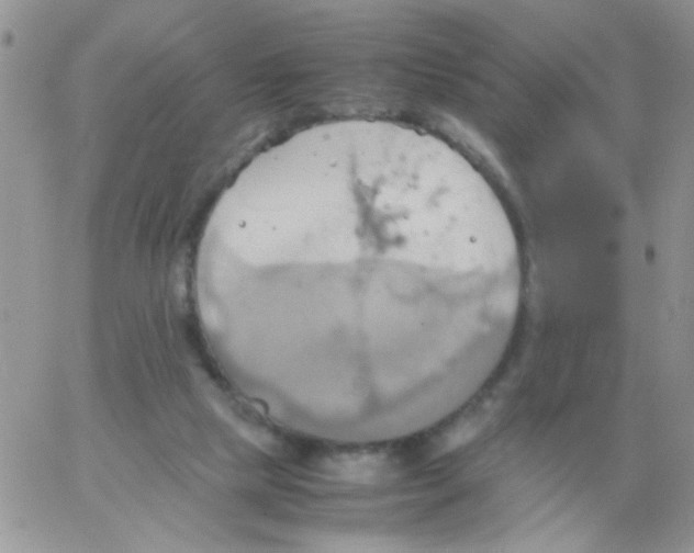 X0000064040065200602242331