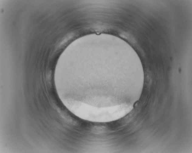 X0000064040066200602242331