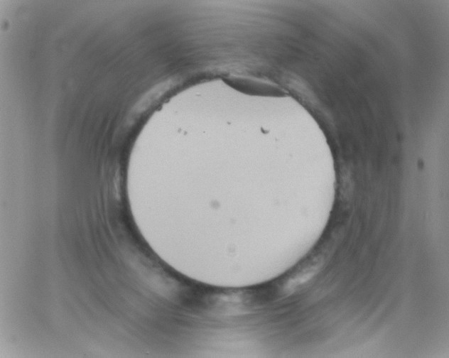 X0000064040068200602242331