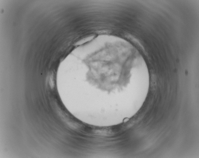 X0000064040069200602242331