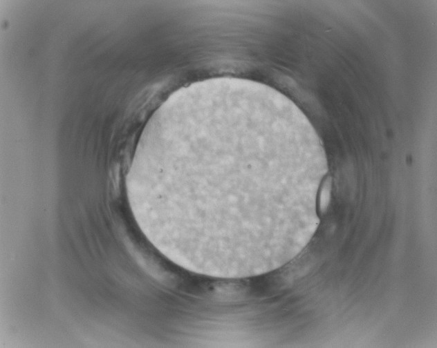 X0000064040070200602242331