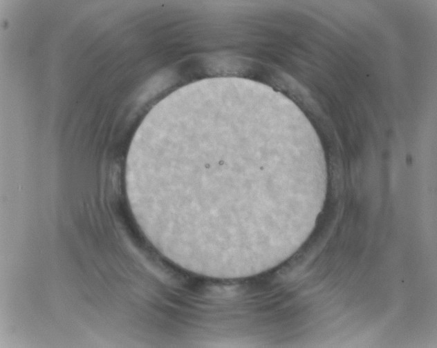 X0000064040071200602242331