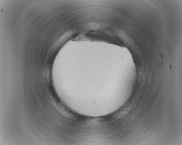 X0000064040072200602242331