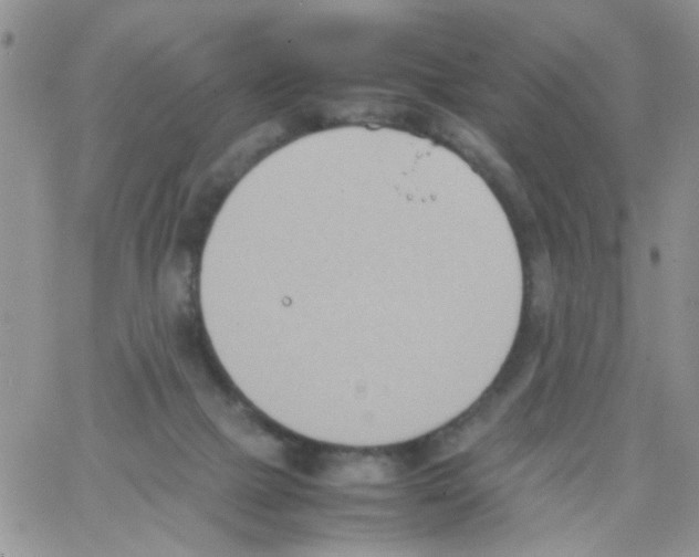 X0000064040073200602242331