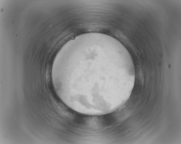 X0000064040074200602242331