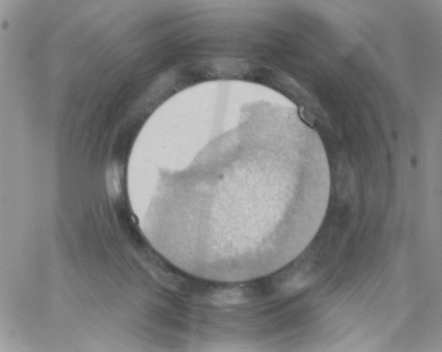 X0000064040075200602242331