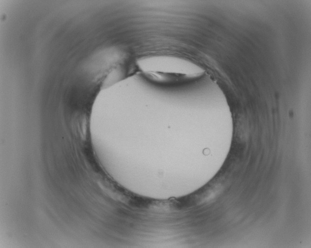 X0000064040076200602242331