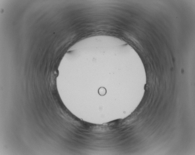 X0000064040077200602242331