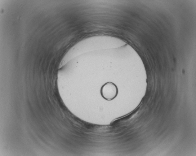 X0000064040078200602242331