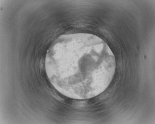 X0000064040081200602242331