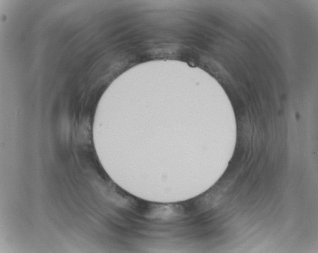 X0000064040083200602242331