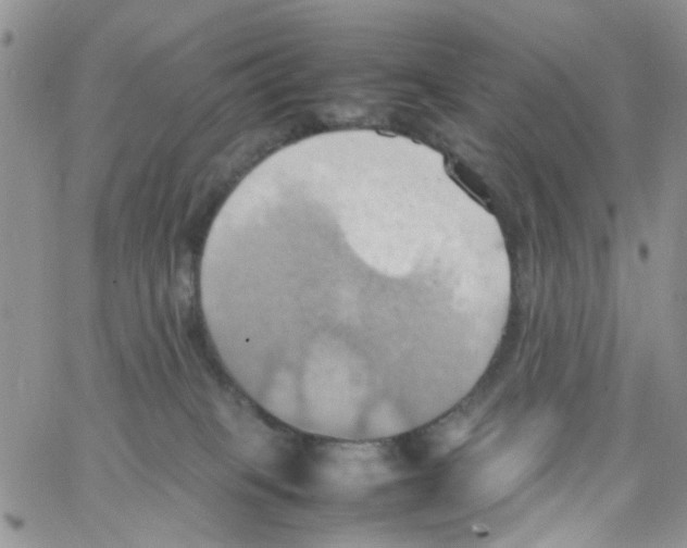 X0000064040085200602242331