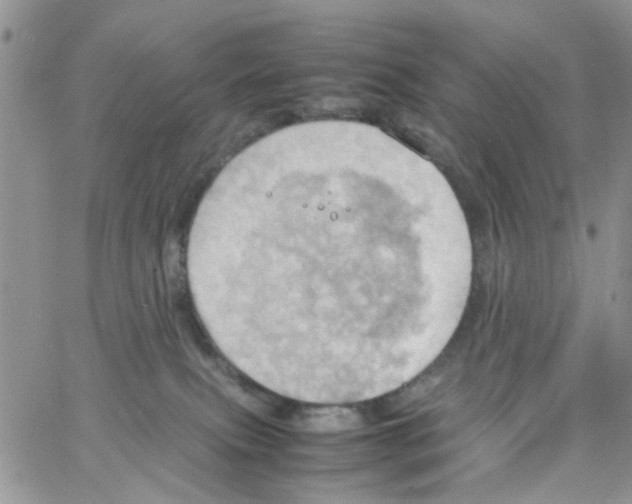 X0000064040087200602242331