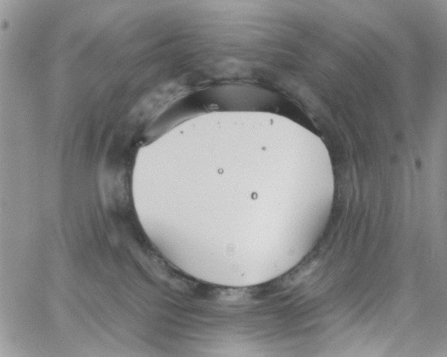 X0000064040088200602242331