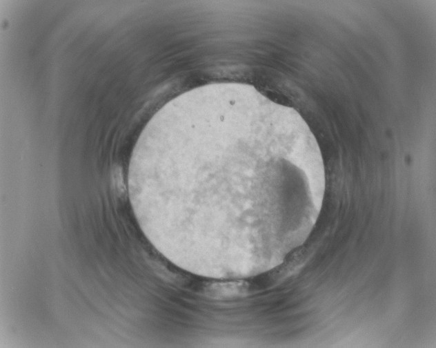 X0000064040089200602242331