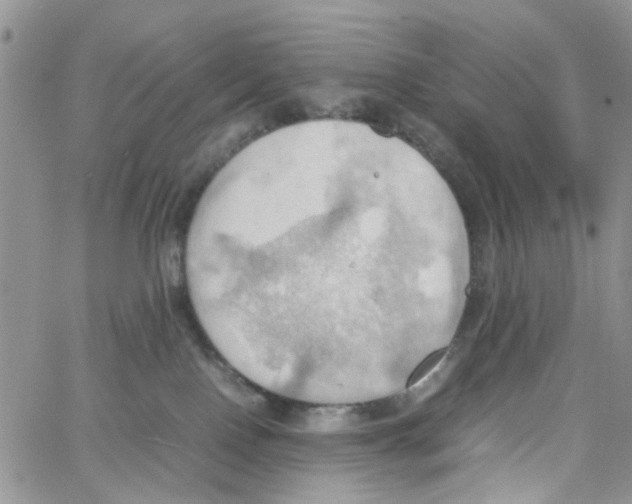 X0000064040090200602242331