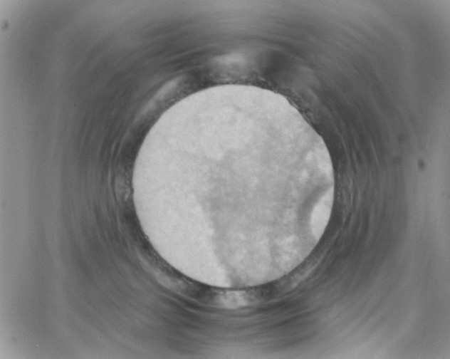 X0000064040091200602242331