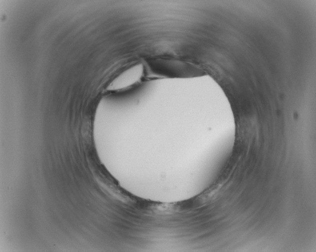 X0000064040092200602242331