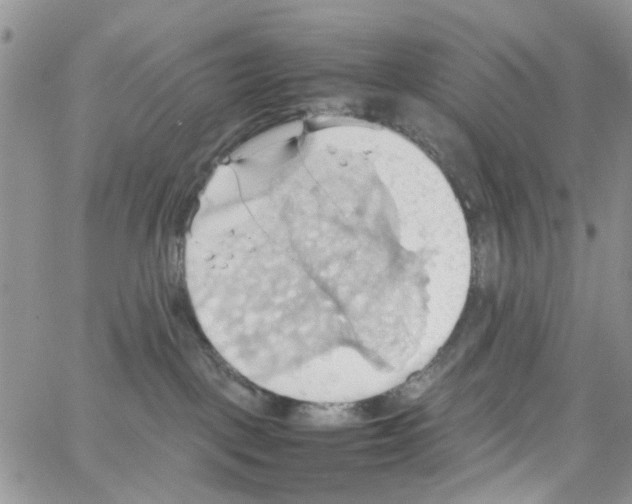 X0000064040093200602242331