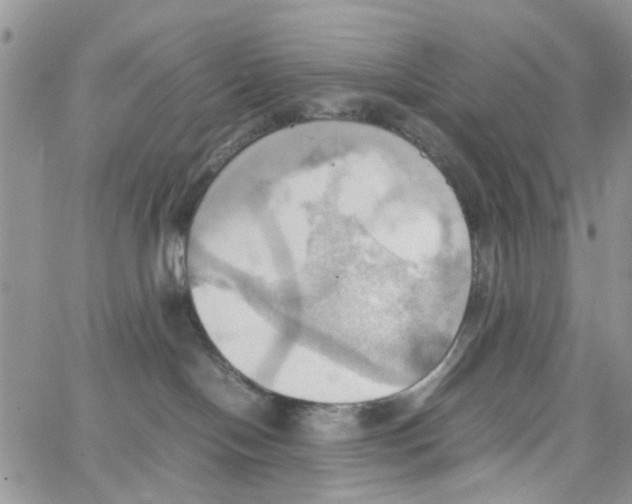 X0000064040094200602242331