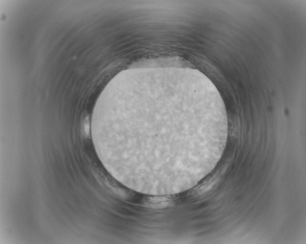 X0000064040095200602242331