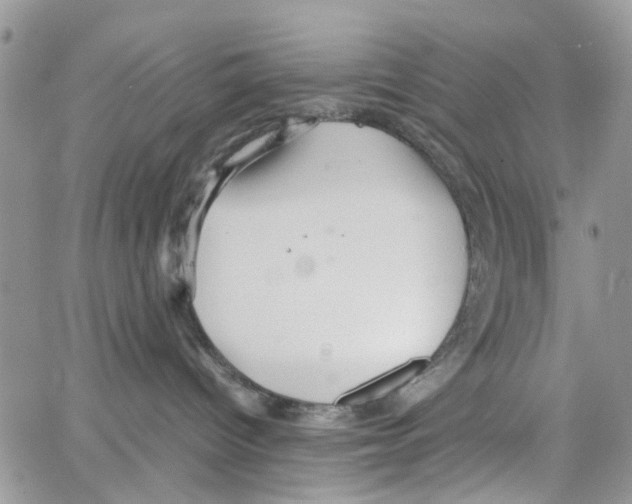 X0000064040096200602242331