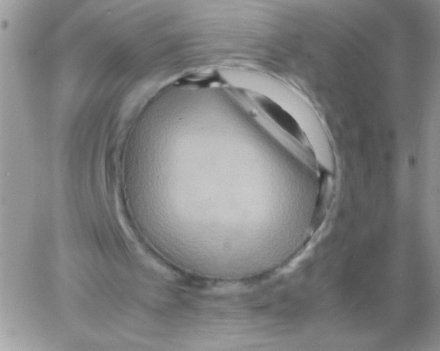 X0000064040097200602242330