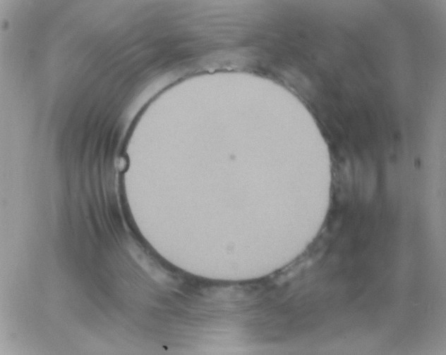 X0000064040100200602242330