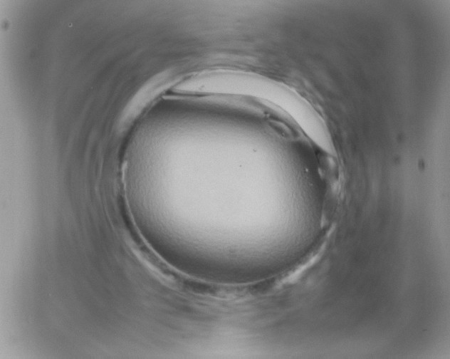 X0000064040101200602242330