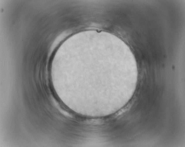 X0000064040102200602242330