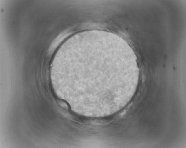 X0000064040103200602242330