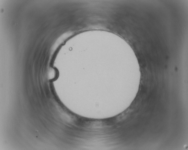 X0000064040104200602242330