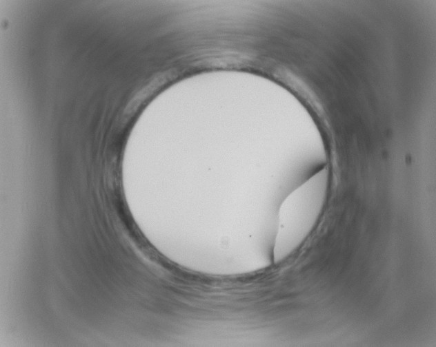 X0000064040105200602242330