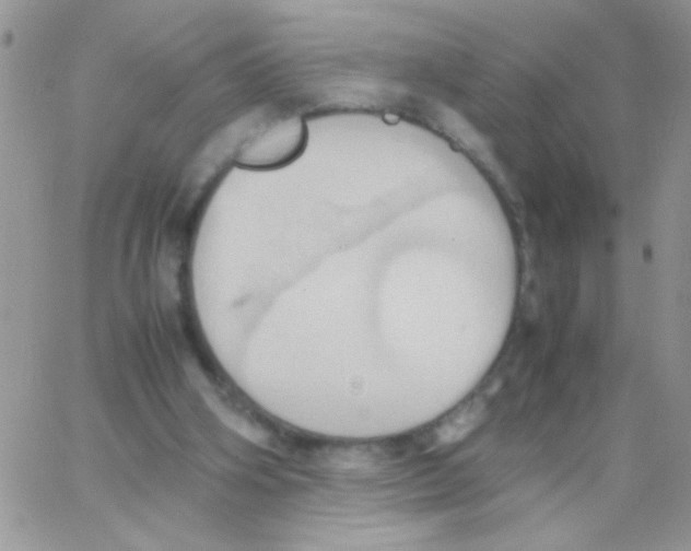 X0000064040106200602242330