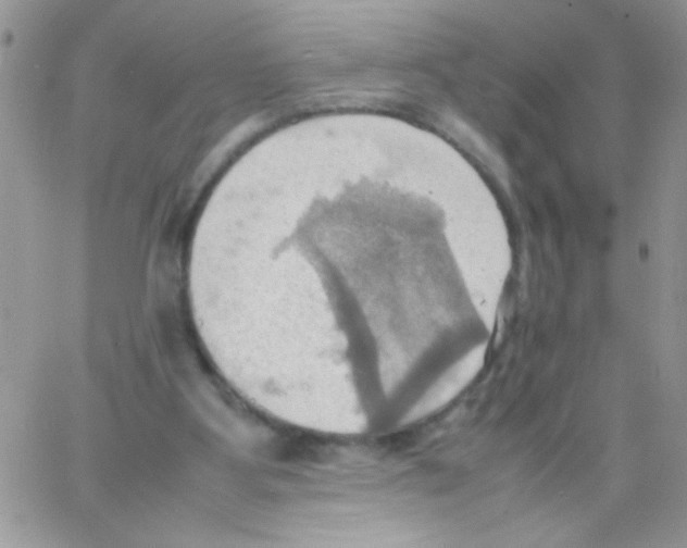 X0000064040107200602242330