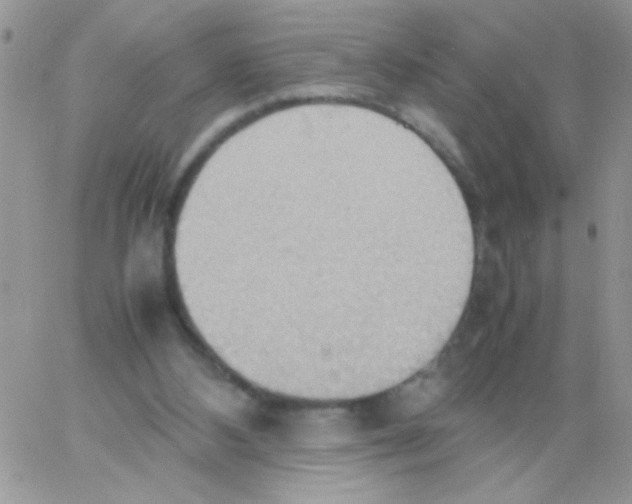 X0000064040108200602242330