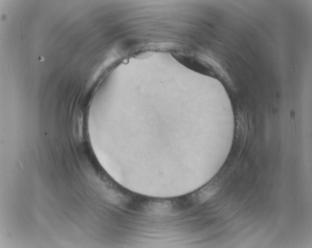 X0000064040110200602242330