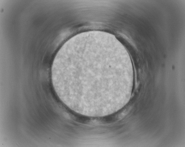 X0000064040111200602242330