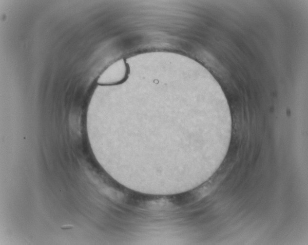 X0000064040112200602242330