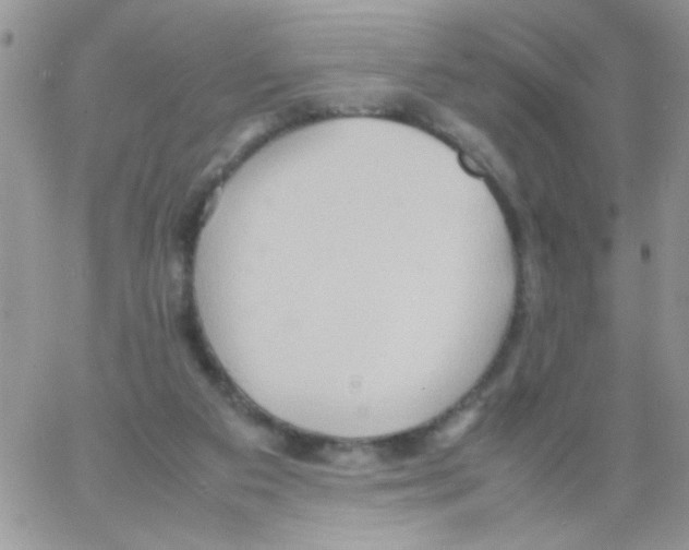 X0000064040113200602242330