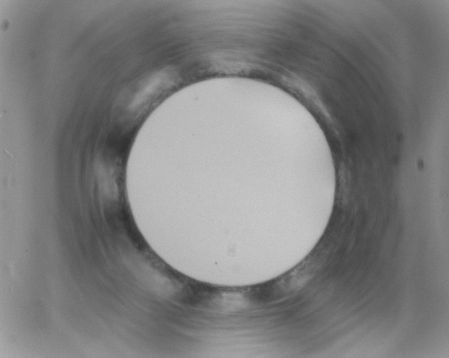 X0000064040114200602242330