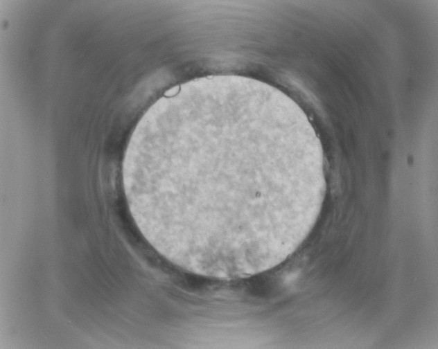 X0000064040115200602242330