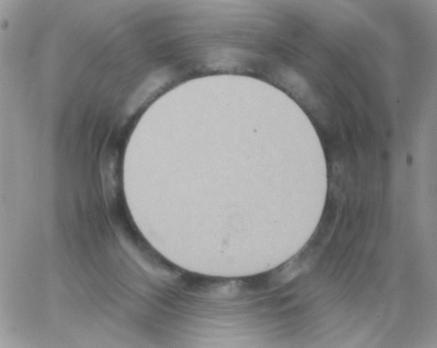 X0000064040116200602242330