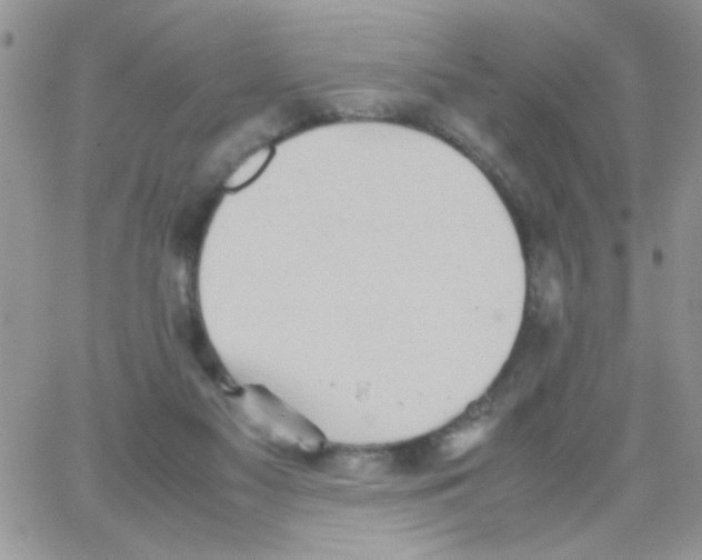 X0000064040117200602242330