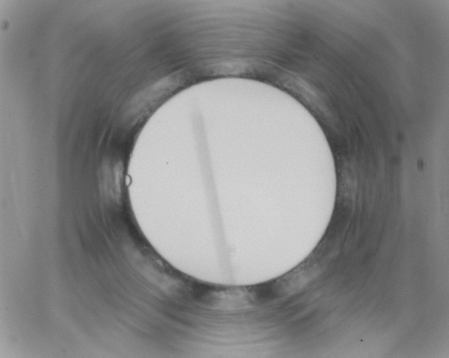 X0000064040118200602242330