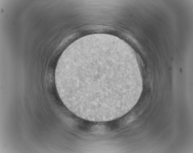 X0000064040119200602242330