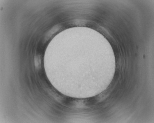 X0000064040120200602242330