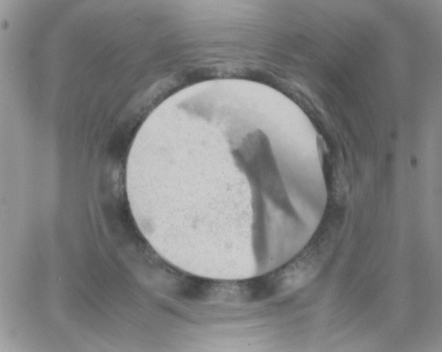 X0000064040123200602242330