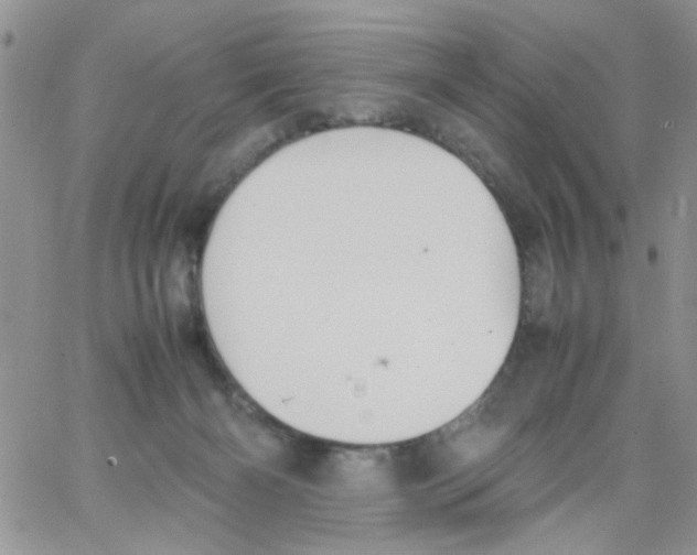 X0000064040126200602242330